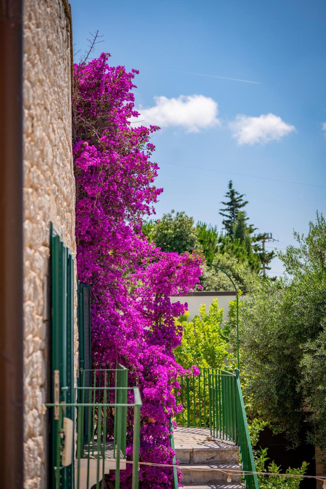 Masseria Montepaolo Dimora Di Charme Conversano Eksteriør billede